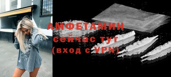 сатива Ельня
