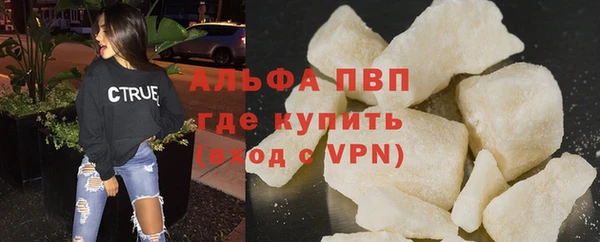 сатива Ельня
