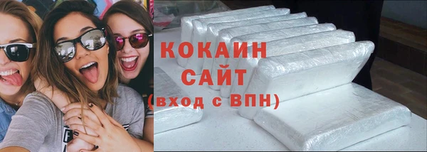 сатива Ельня