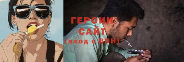 сатива Ельня