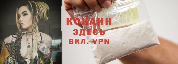 сатива Ельня