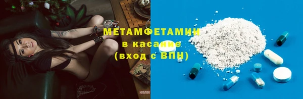 сатива Ельня