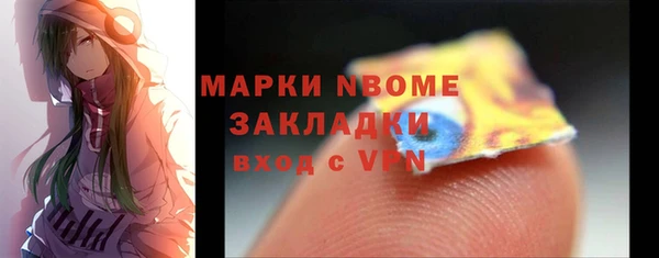 сатива Ельня