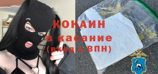 сатива Ельня