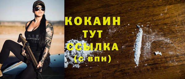 сатива Ельня