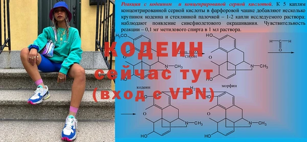 сатива Ельня