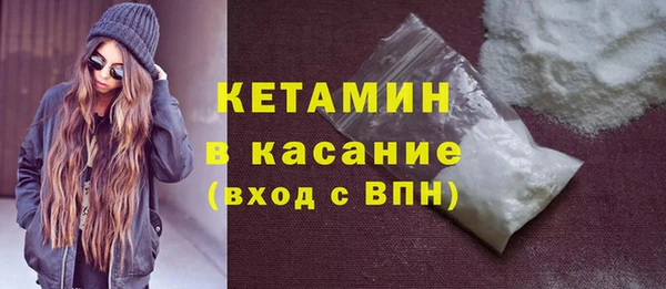 сатива Ельня