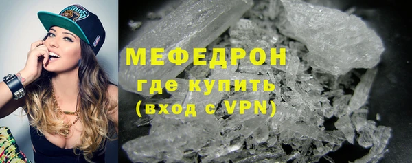 сатива Ельня