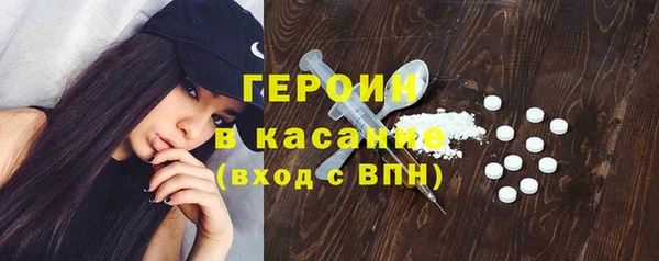 сатива Ельня