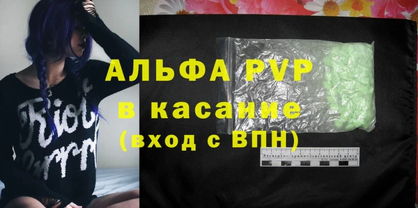 сатива Ельня