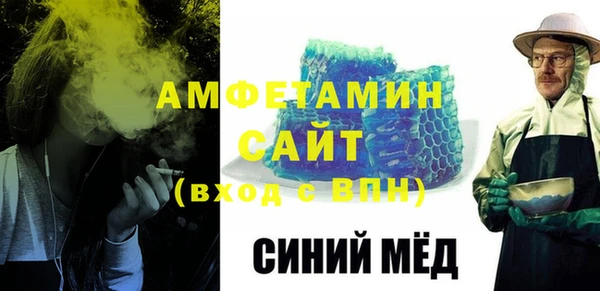 сатива Ельня