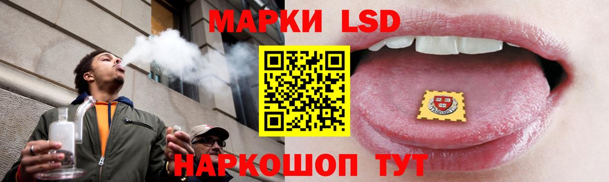 Изобильный  кракен зеркало  Вход с VPN  Лсд 25 экстази кислота 