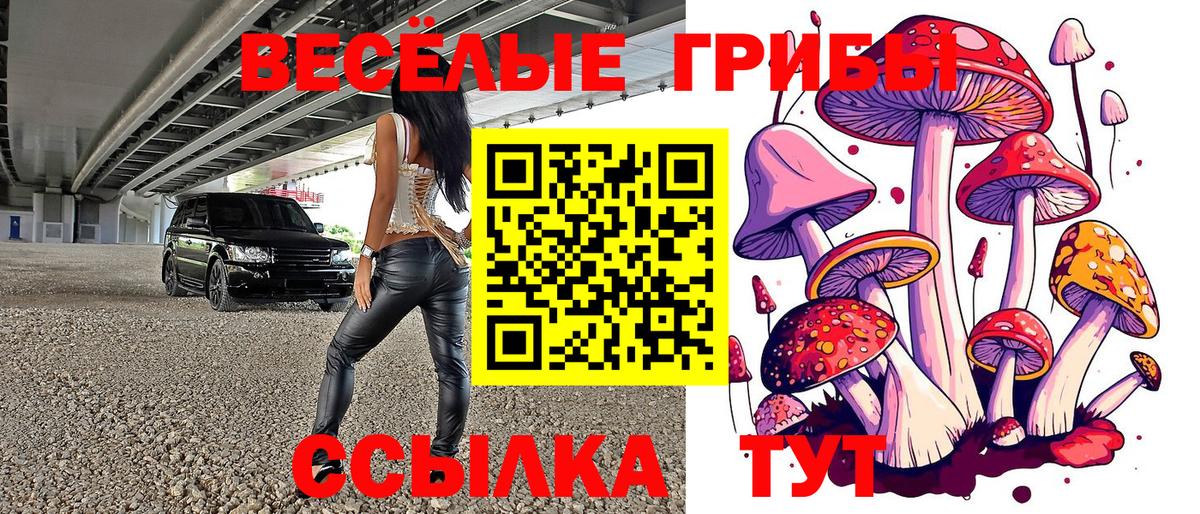 Изобильный  Псилоцибиновые грибы Magic Shrooms  Галлюциногенные грибы MAGIC MUSHROOMS  Вход с VPN 